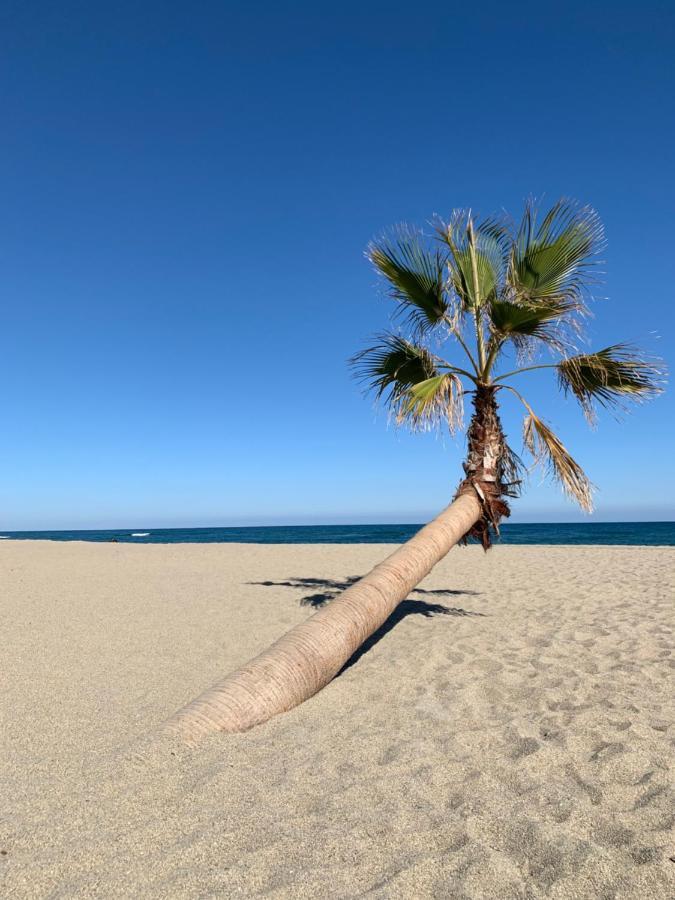 Residence La Pinede Le Barcarès Εξωτερικό φωτογραφία